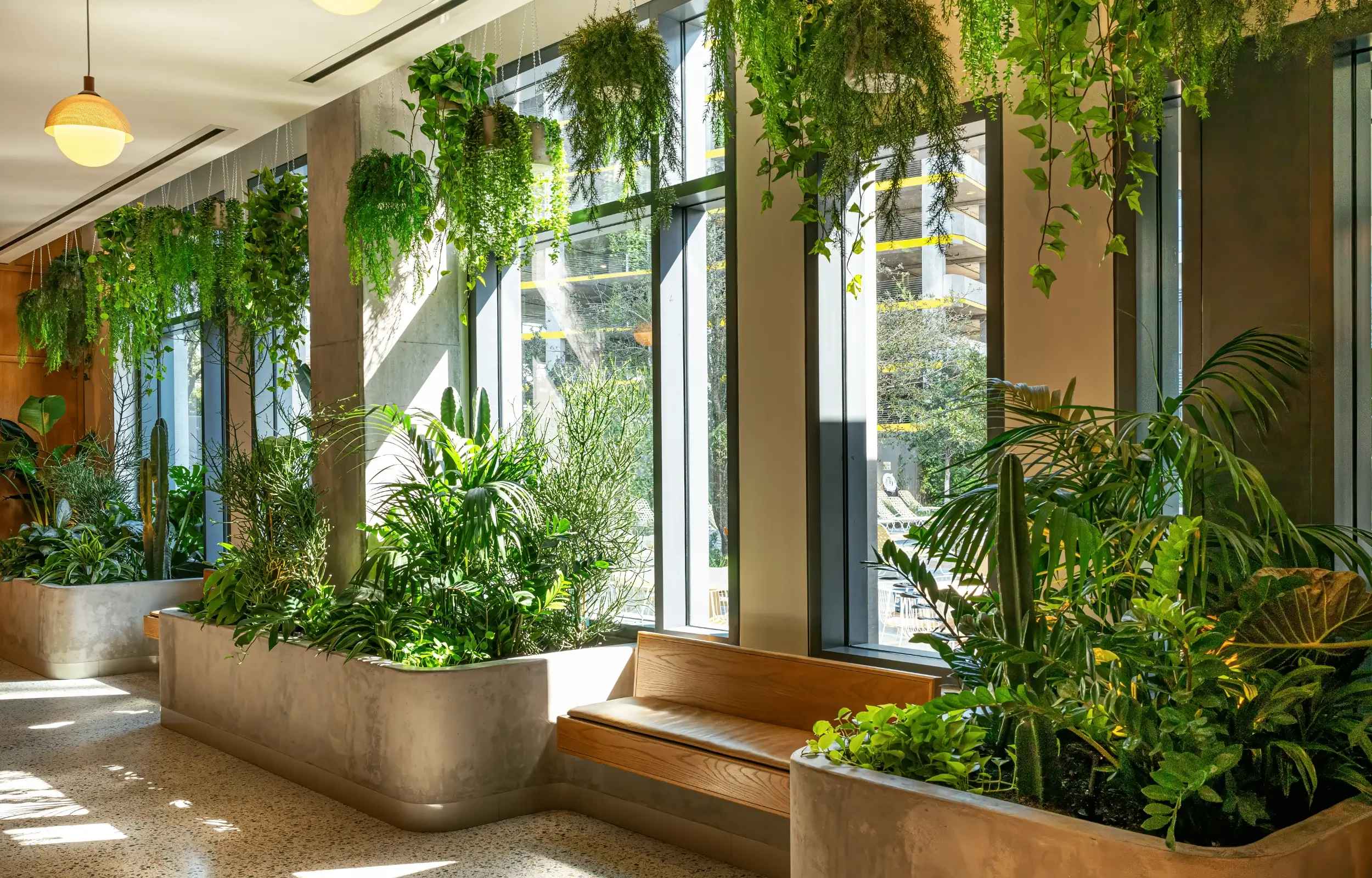 Interior Landscaping & Office Plant Services in Seattle, WA