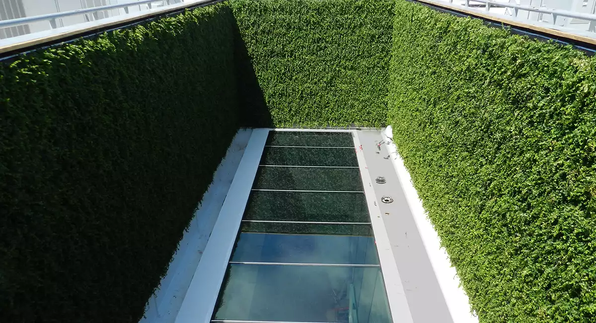Rooftop green wall