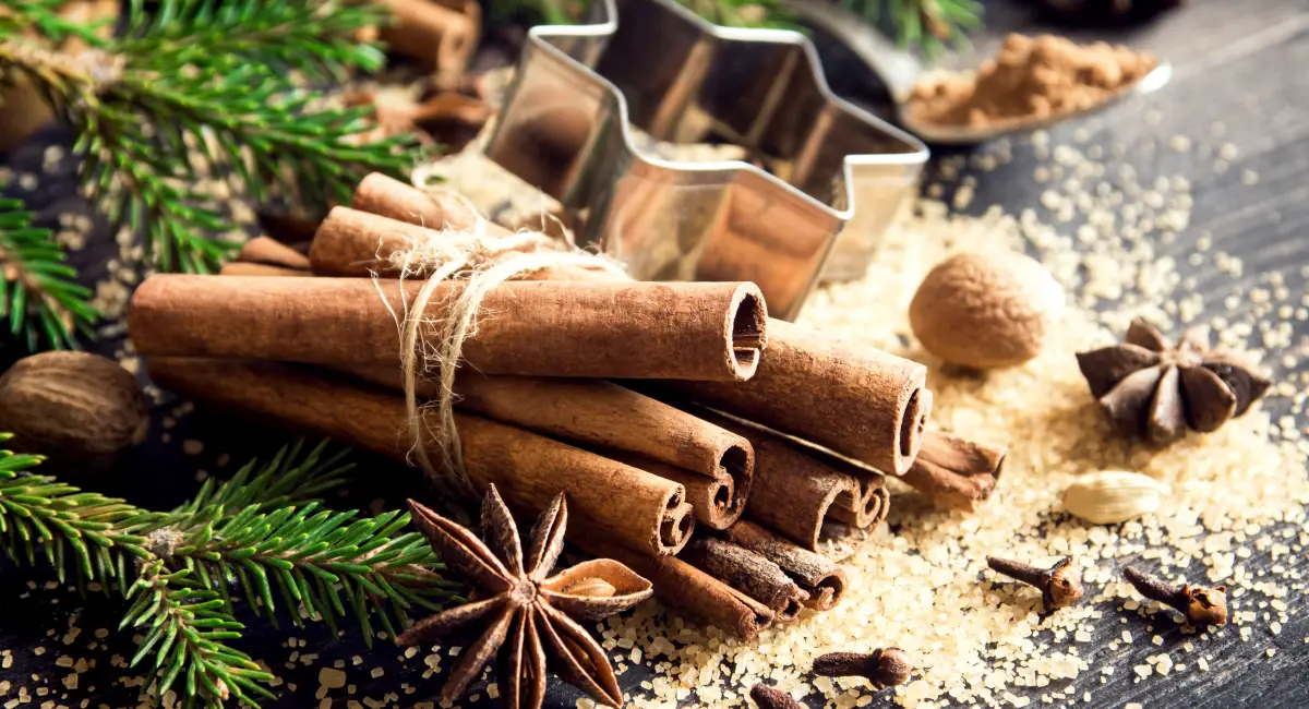 image-banner-stock-christmas-spices-867802304.webp