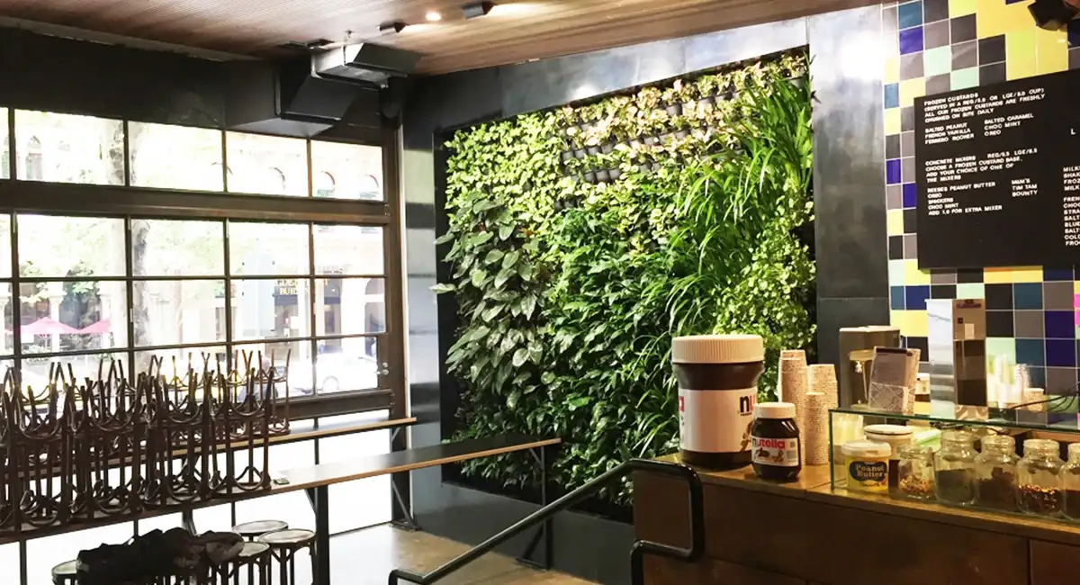 green wall