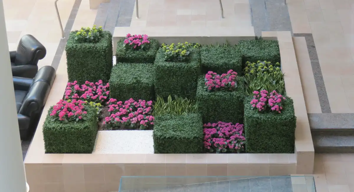 Square bushes with varying height and colorful flowers