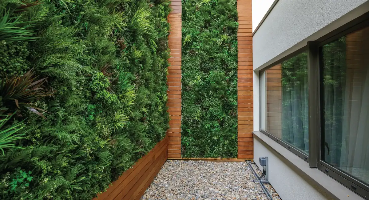 Wall of plants outside