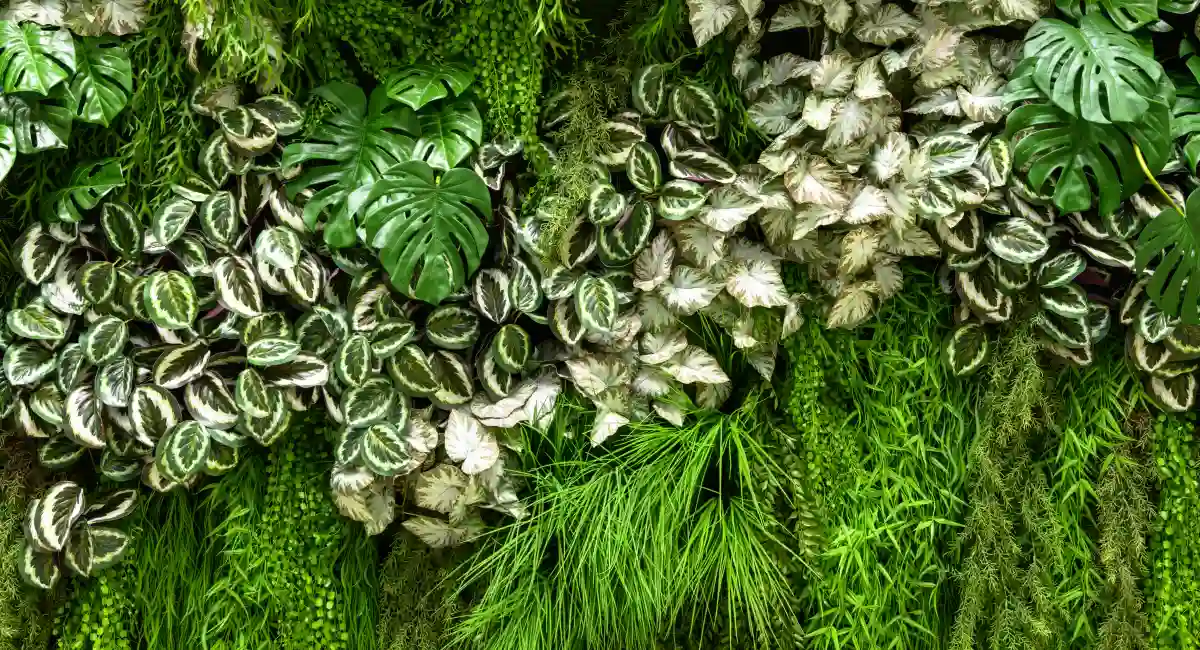 image-banner-stock-vertical-garden-detail-1358440746.webp