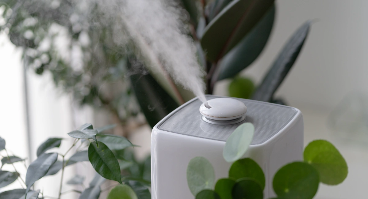 Humidifier