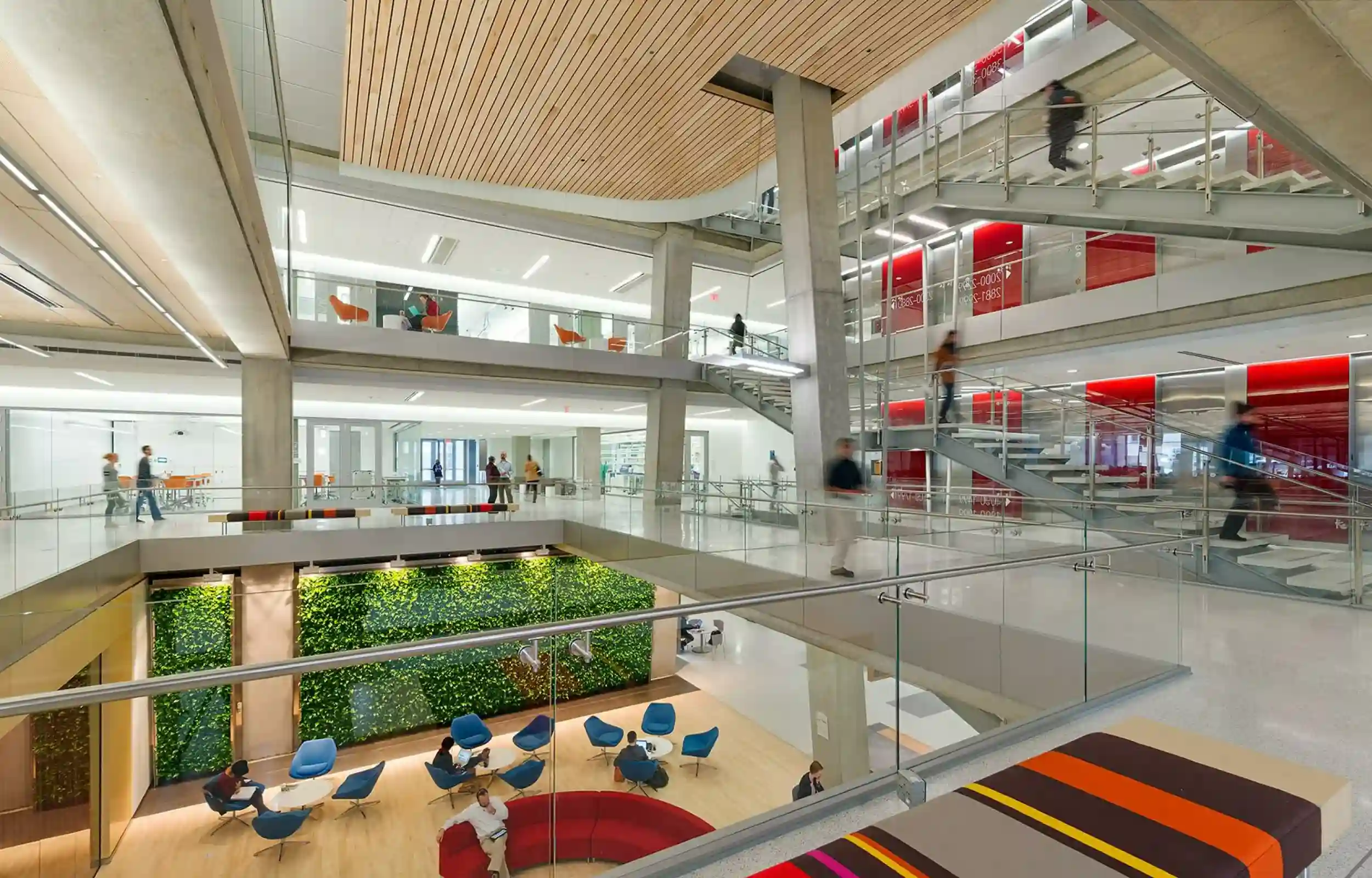 Green wall in George Washington University