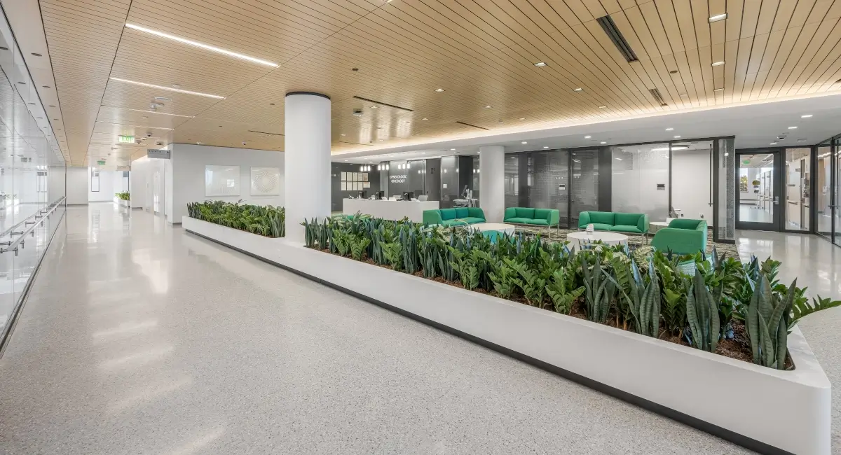Clean, modern waiting area with green seating and a long, built-in planter box filled with snake plants.