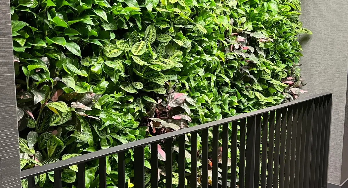 Living green wall near railing