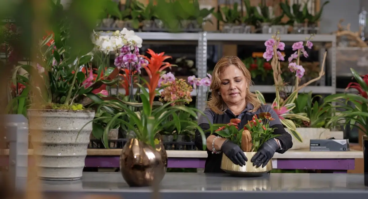 Ambius colleague working on planted flowers