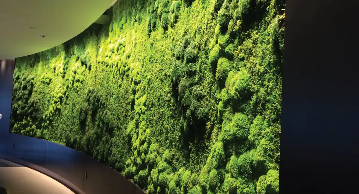 Wall of plants