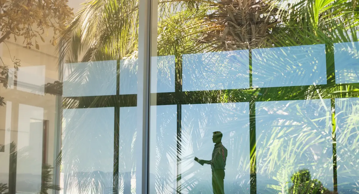 image-stock-ambius-office-green-window-getty-175140112.webp