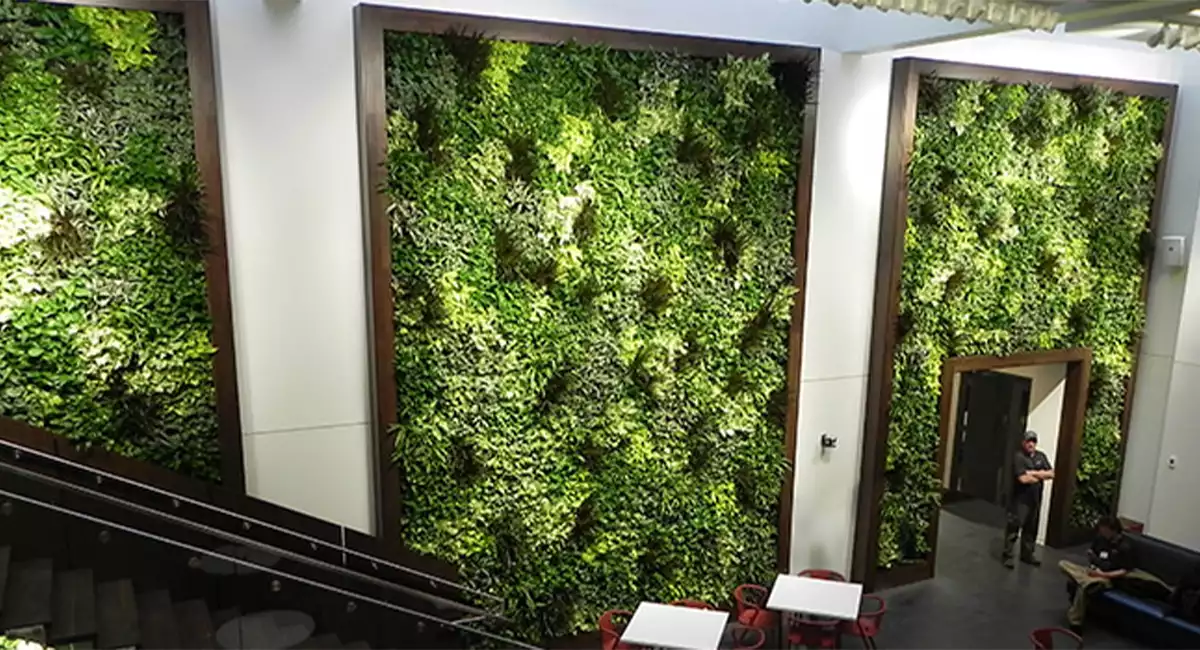 a living wall of green plants in a building