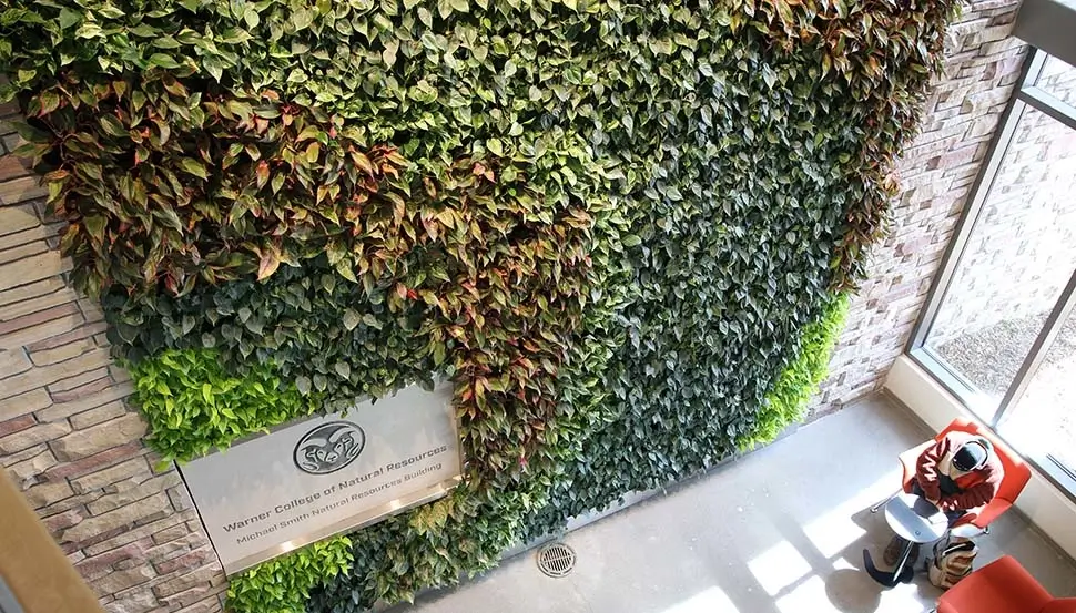 Colorado State University green wall project