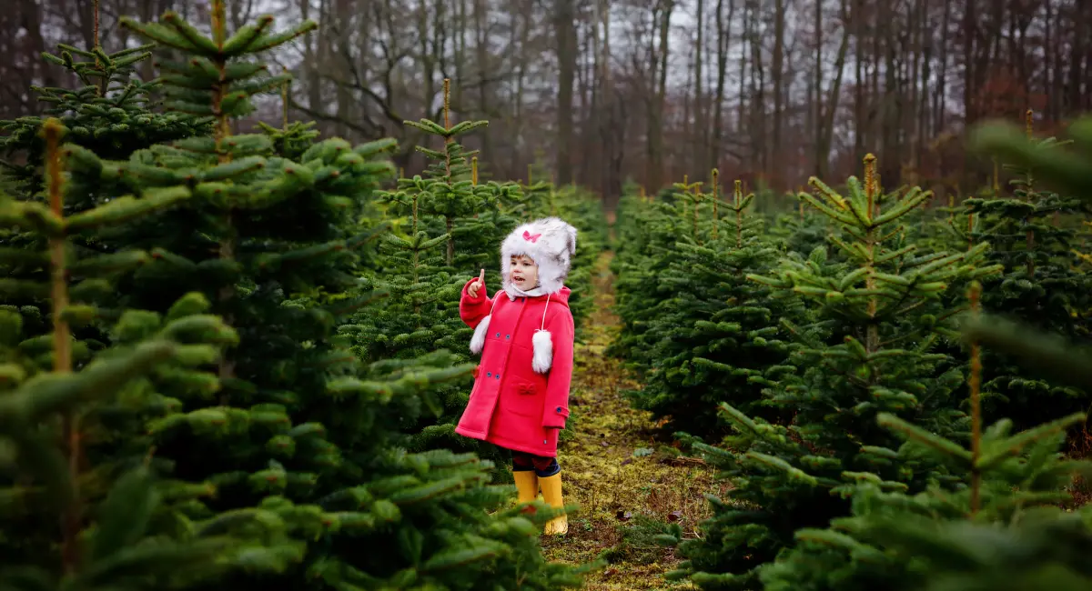 image-banner-stock-adorable-little-toddler-girl-with-christmas-tree-1331640768.webp
