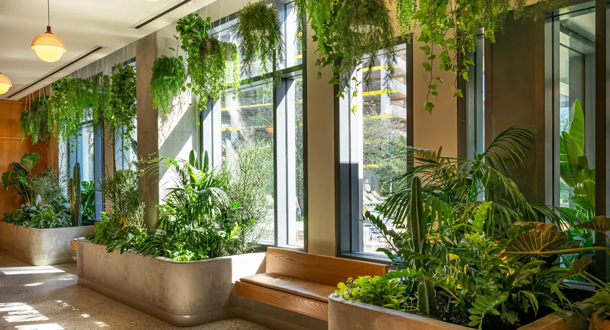 Greenery in luxury apartment