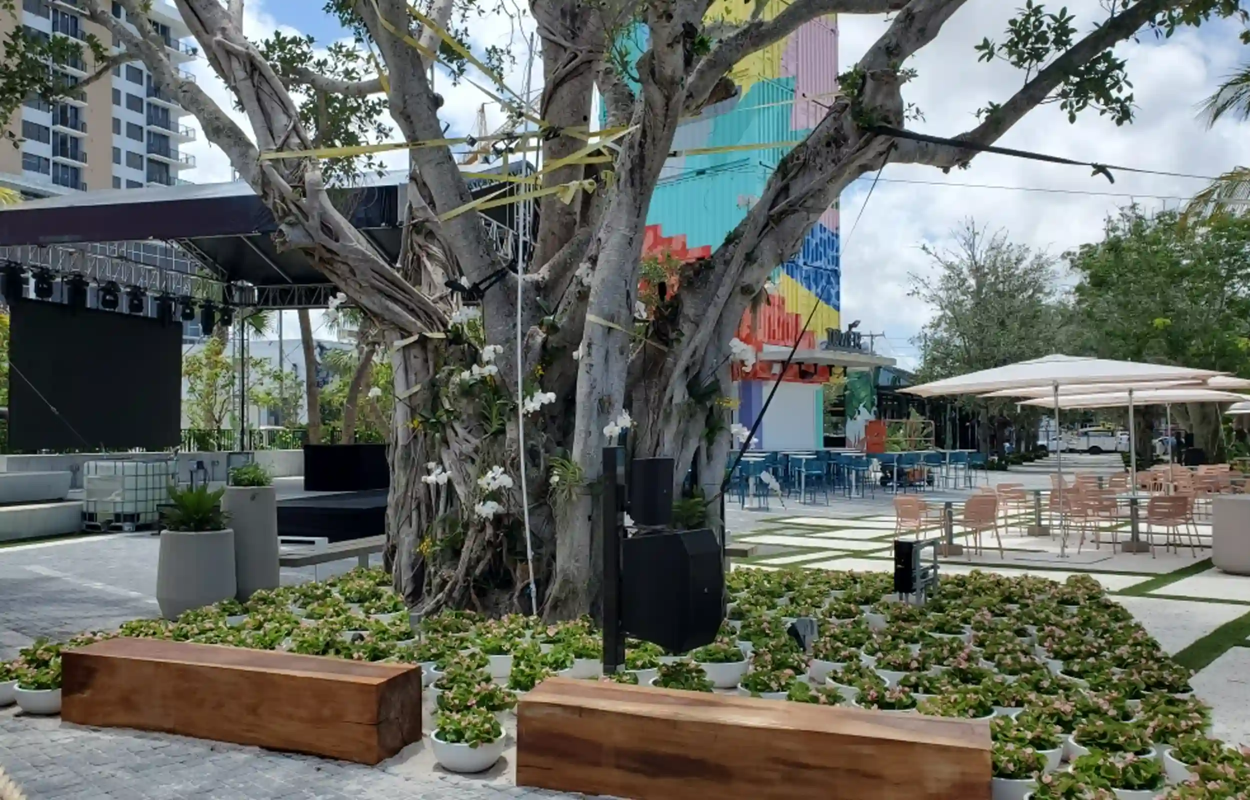 Exterior plantscape with trees