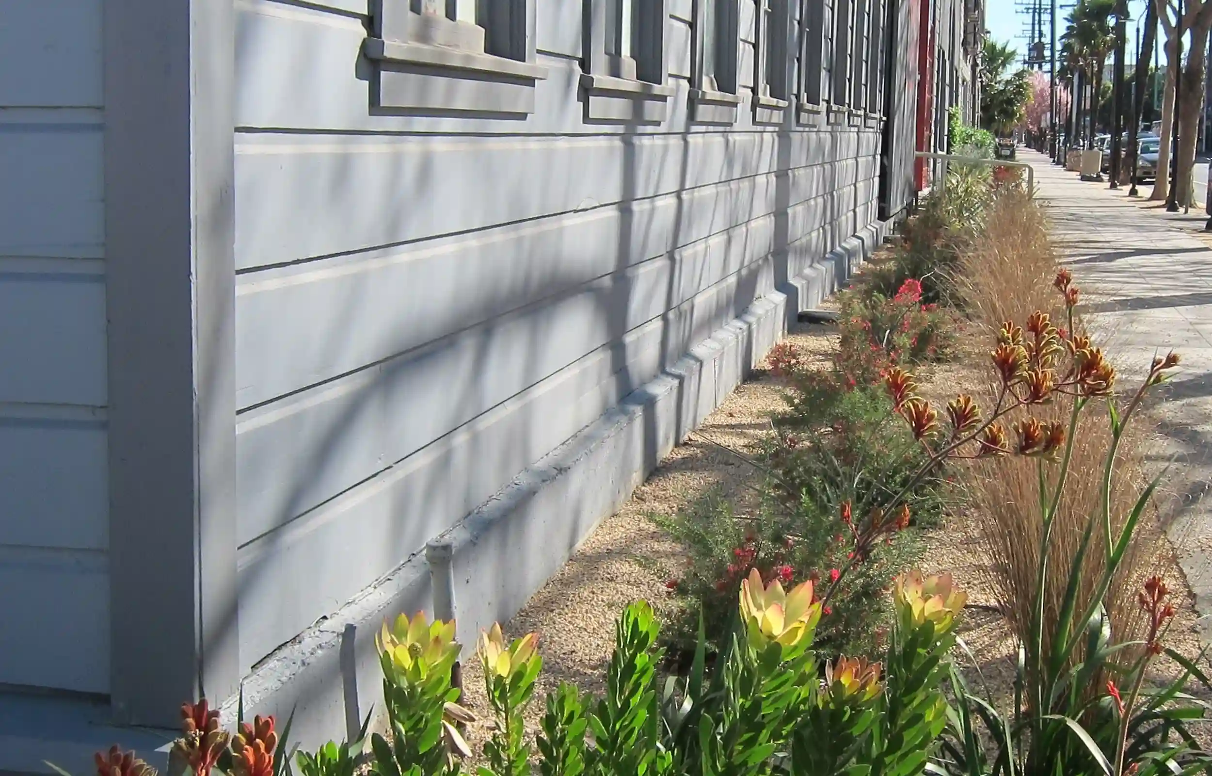Live outdoor greenery