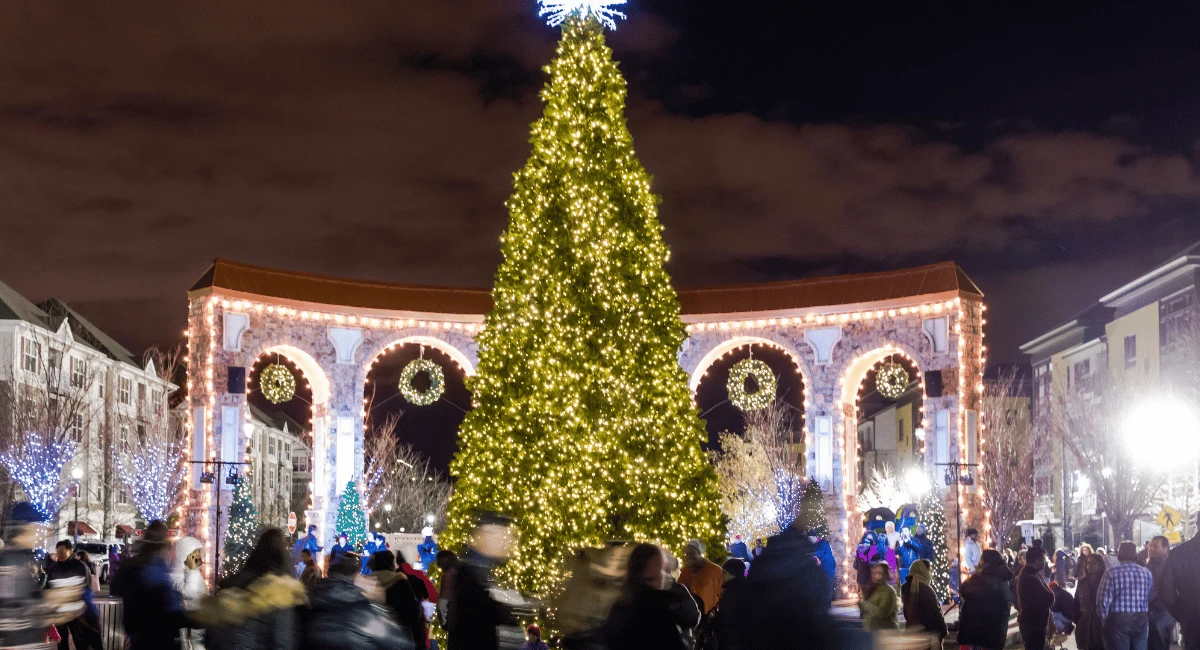 A large, brightly lit Christmas tree at the center of the community winter wonderland and lighting ceremony.