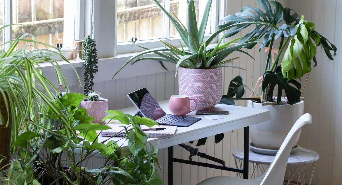 desk