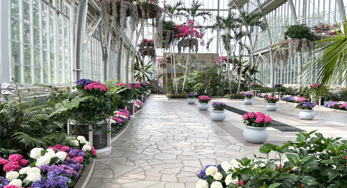 interior plantscape with live trees, flowers, and shrubery