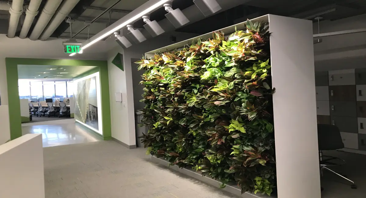 Living green wall on lockers