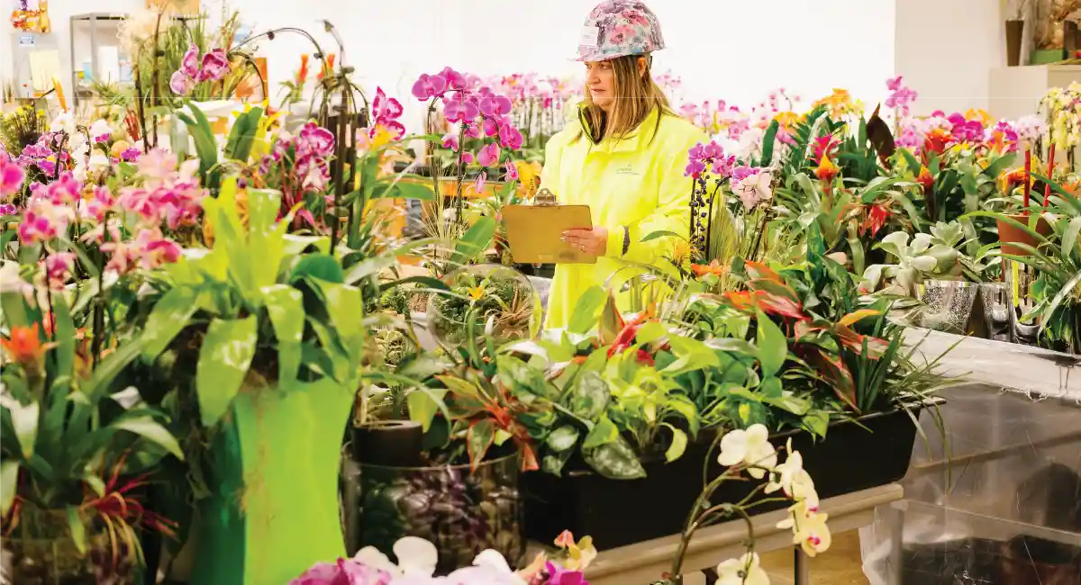 Female employee checking flowery plants