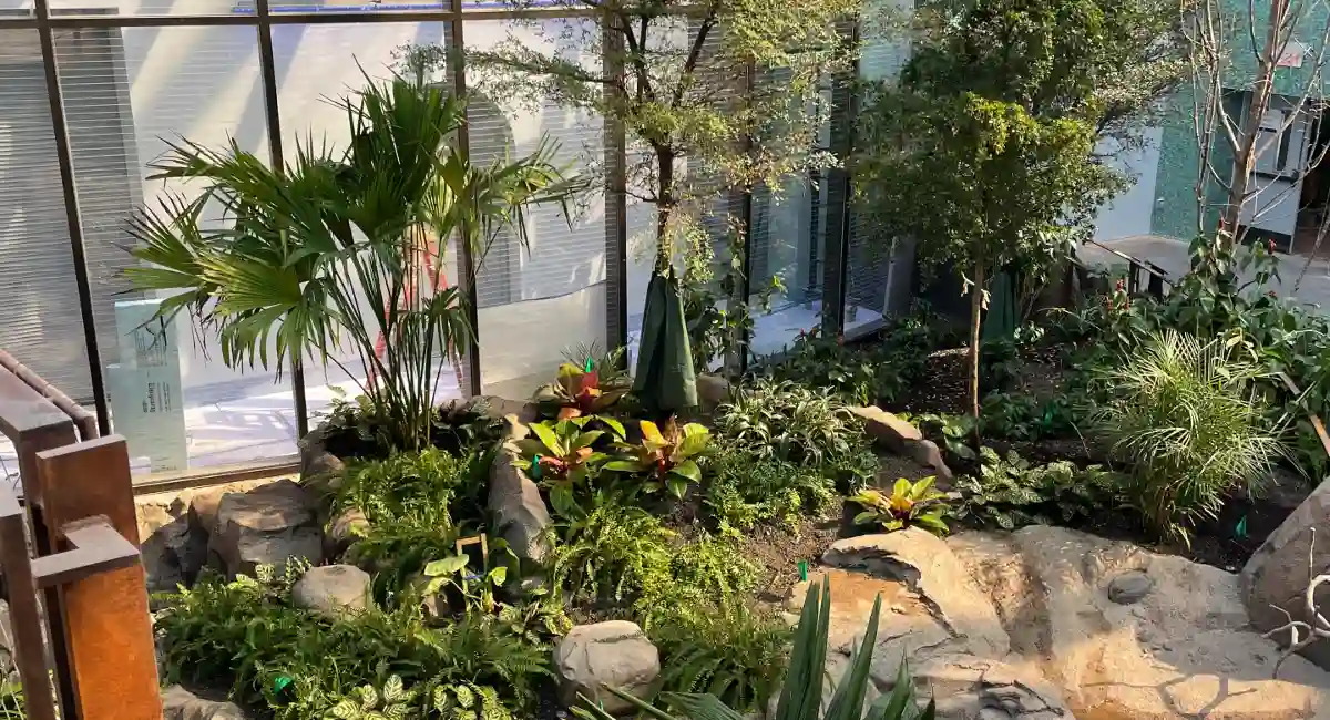 Live greenery in birdhouse aviary