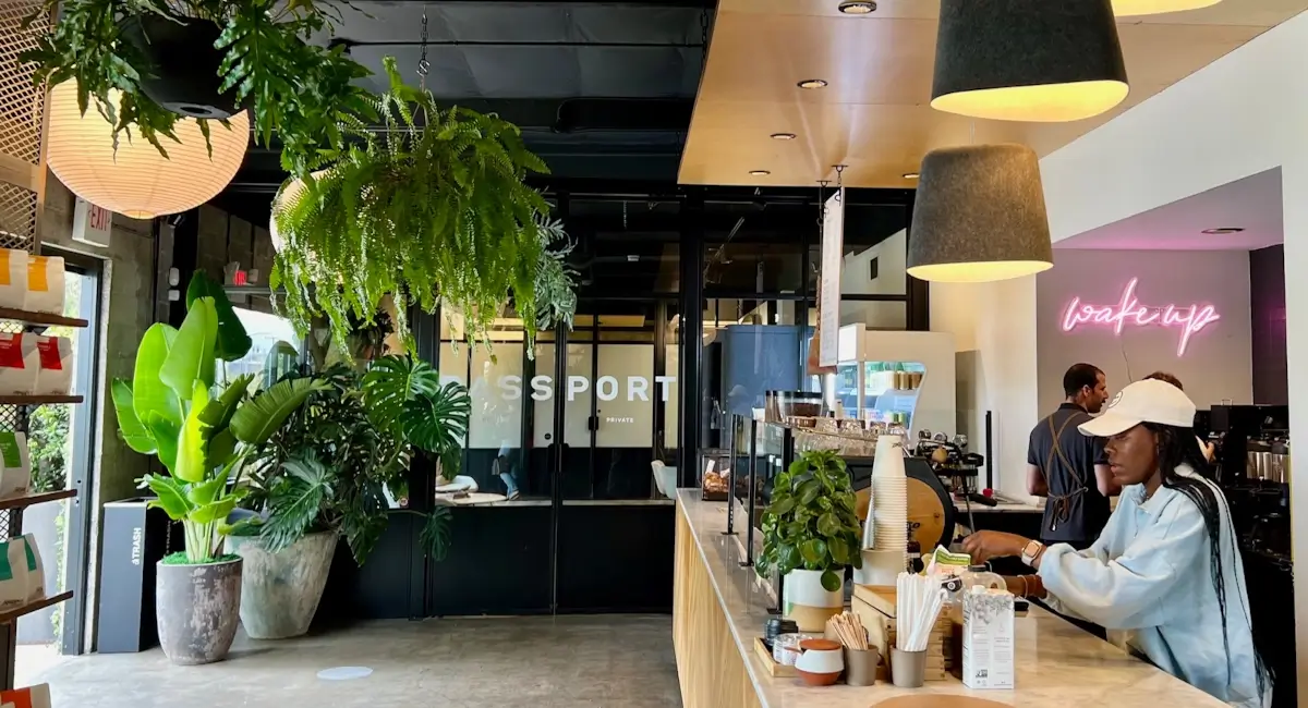 A nature-inspired business location with plants everywhere.